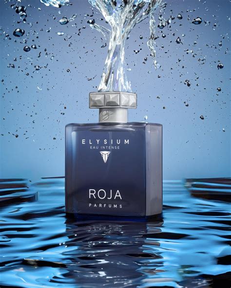 best roja parfums for him|roja dove elysium eau intense.